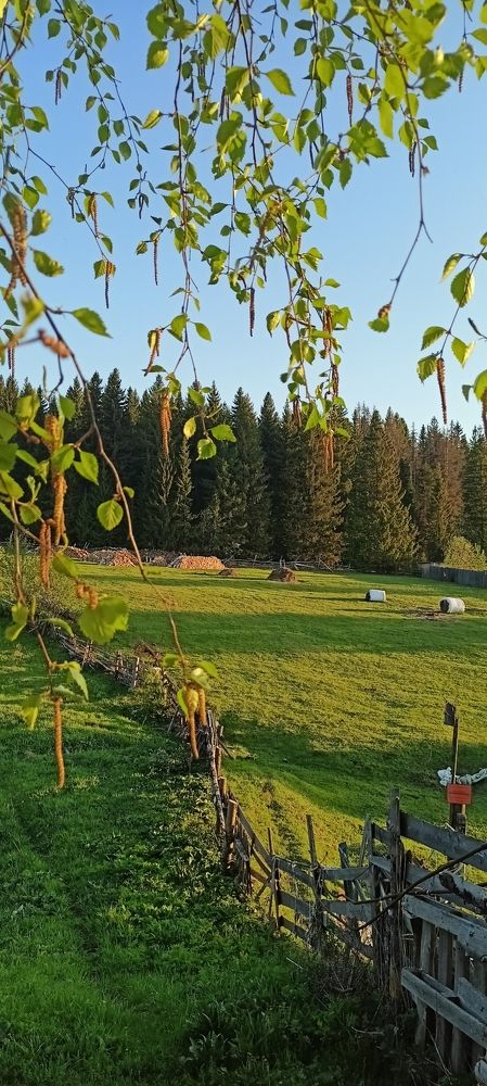 Photograph by Елена