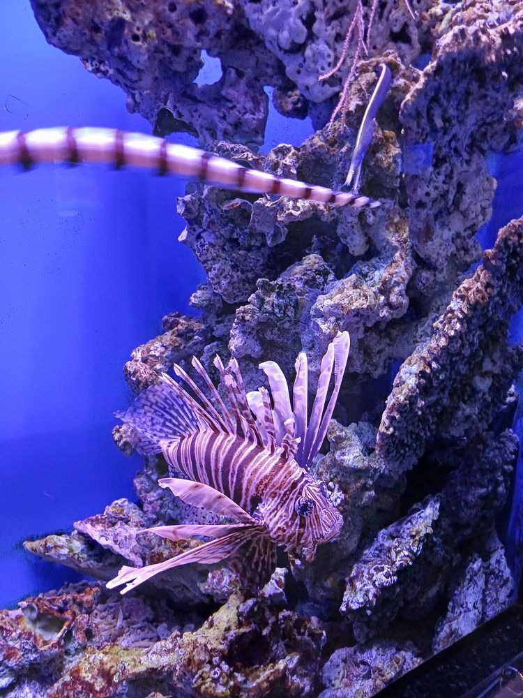 Photograph by Елена Каширина