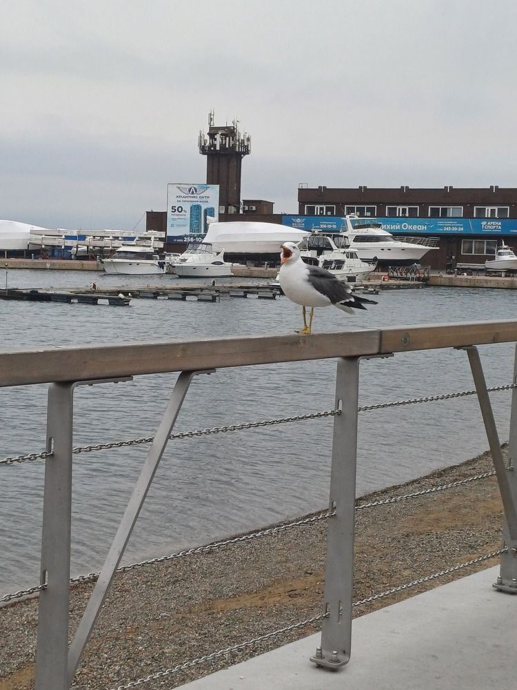 Photograph by Елена Каширина