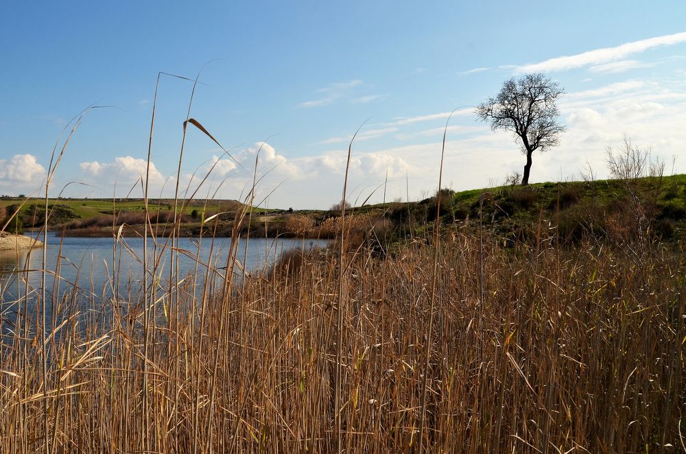 Фотография автора Ibrahim Alkan
