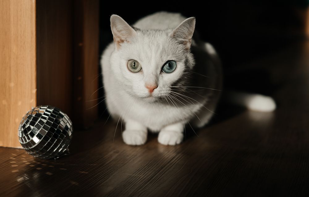 Photograph by Elena Kilina