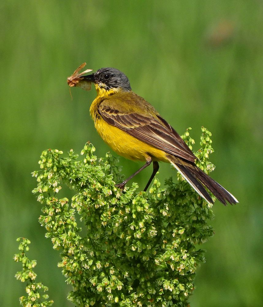 Photograph by Татьяна ТУРСКАЯ