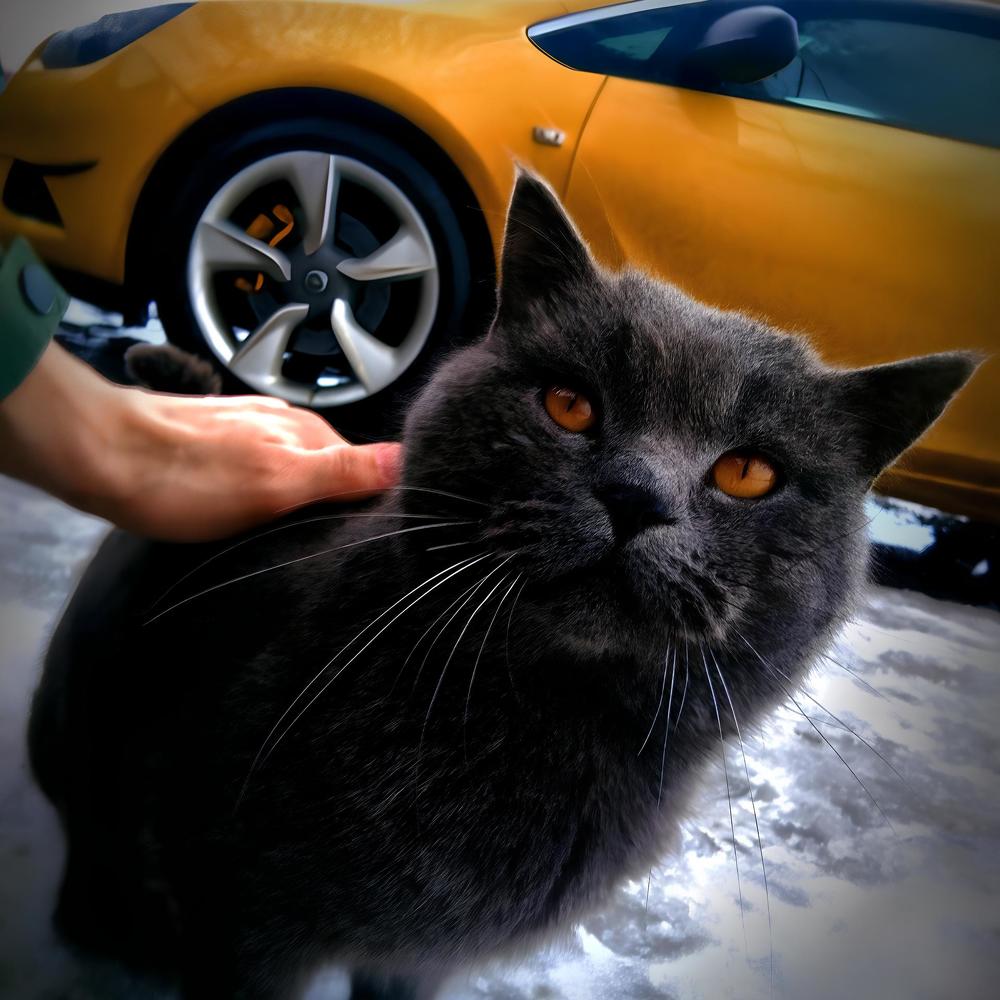 Photograph by Максим Логвинов