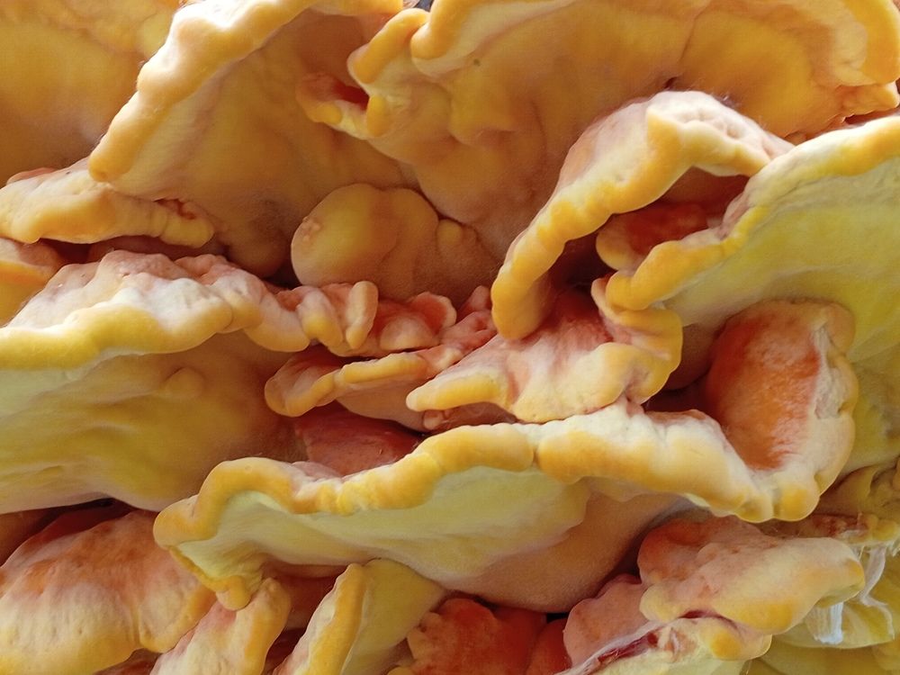 Photograph by Руслан Шиляев