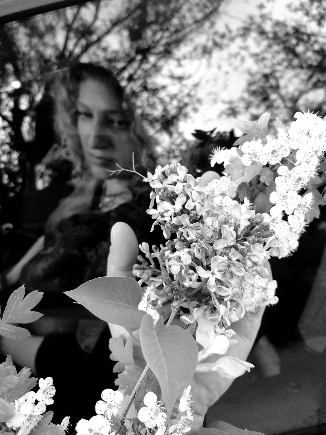 Photo #10711830