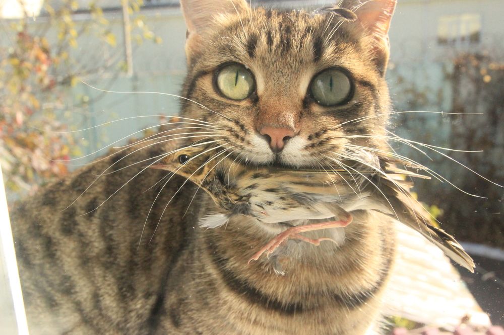 Photograph by Sergey Tsubanov