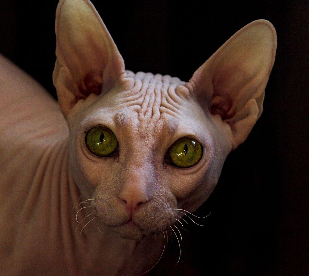 Photograph by Sergey Tsubanov