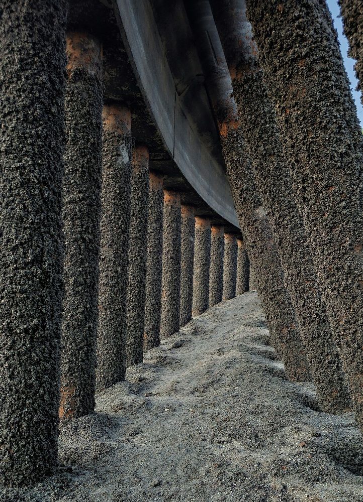 Photograph by Дмитрий Романов