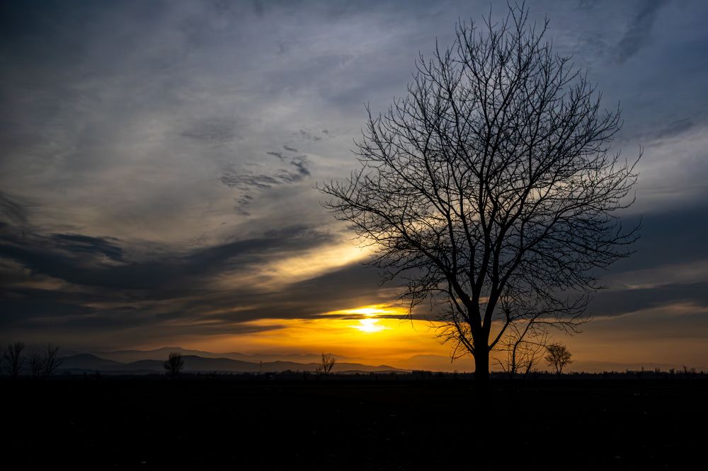 Фотография автора Amin Zand miralvand