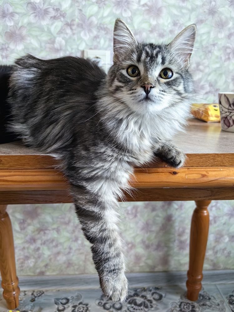 Photograph by Екатерина