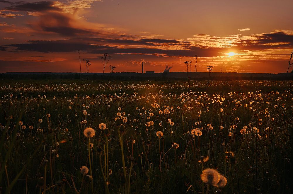Photograph by Надежда Колеватова