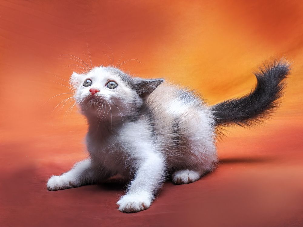 Photograph by Dzulfikri Dzulfikri