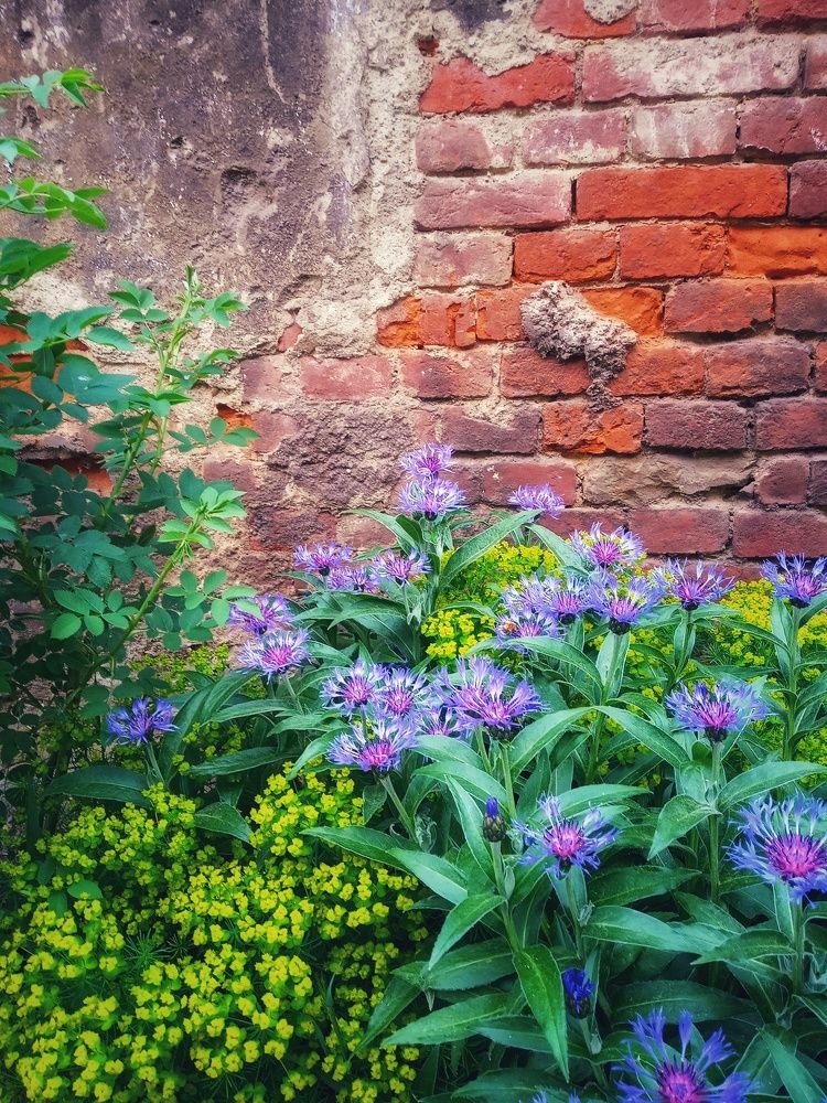 Photograph by Анастасия