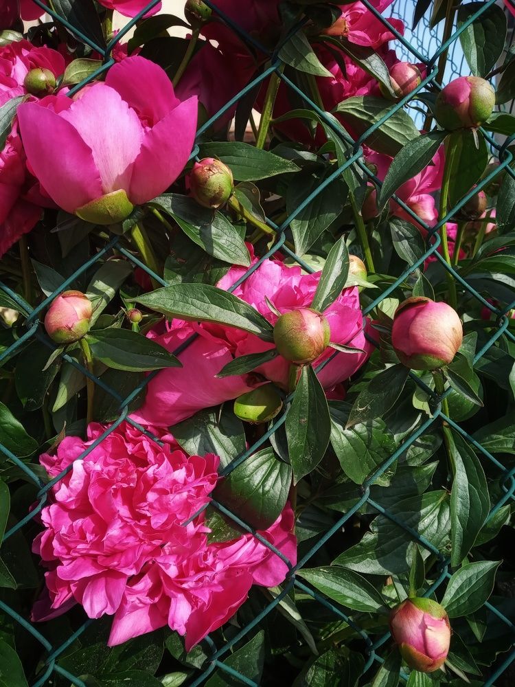 Photograph by Анастасия