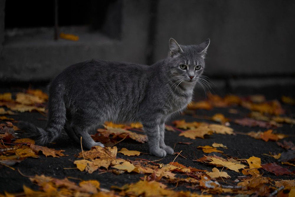 Photograph by Андрей Халемонец