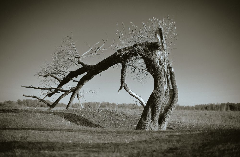 Photograph by Владимир Щеголев