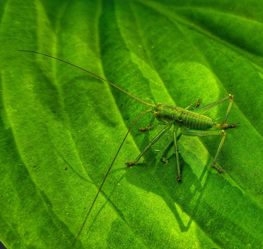 Фотография автора Валерия