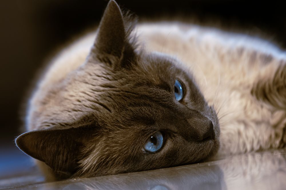 Photograph by Вячеслав Ват