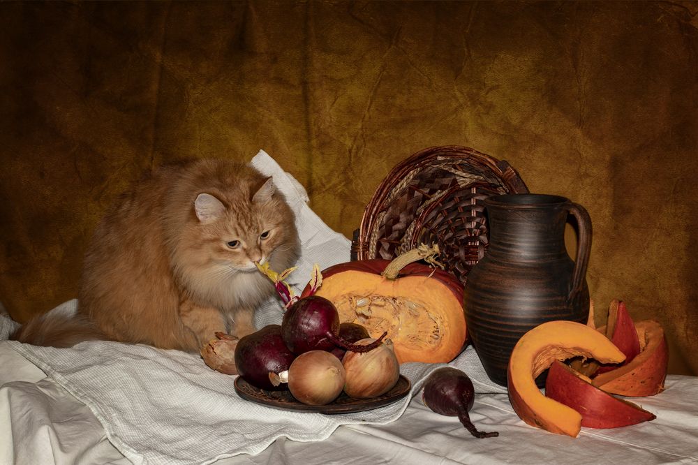 Photograph by Валерий Шорохов