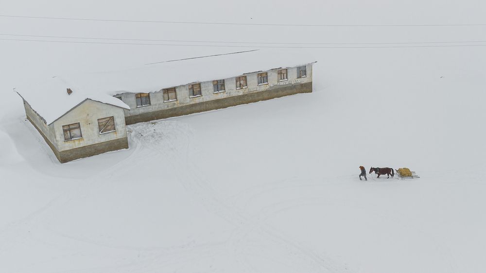 Photograph by Mehmet Veysi ŞİMŞEK
