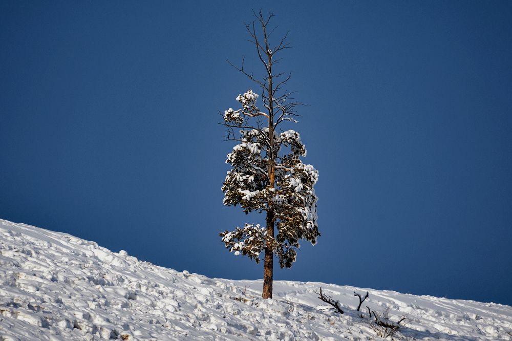 Photograph by Александр Шипиленко