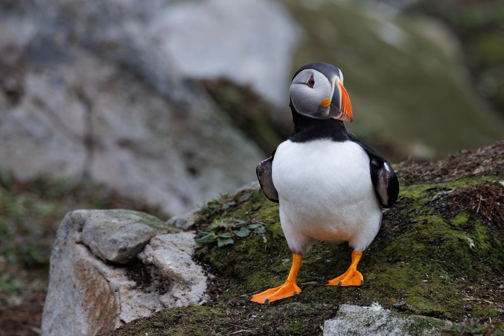 Photograph by Valentin Kolinko