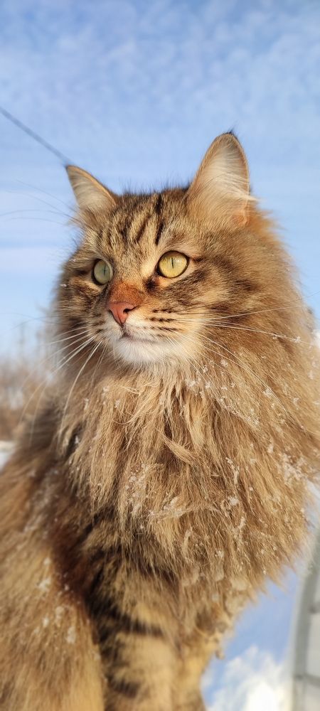 Photograph by Людмила Кузнецова