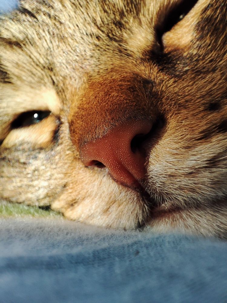 Photograph by Людмила Кузнецова