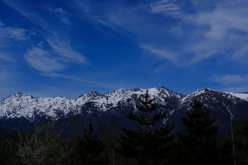 Photograph by Дарья Ефанова