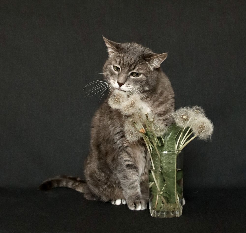 Photograph by Гуляева Светлана