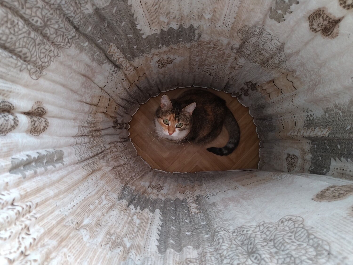 Photo #10712154