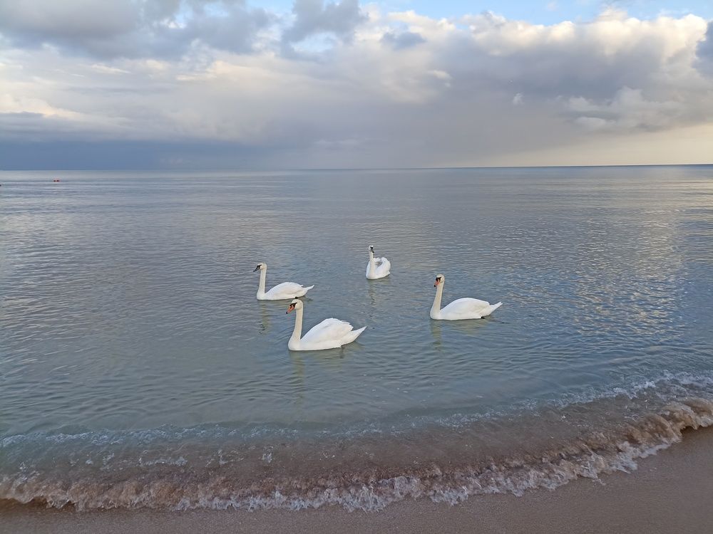 Фотография автора Бронислав Краснер