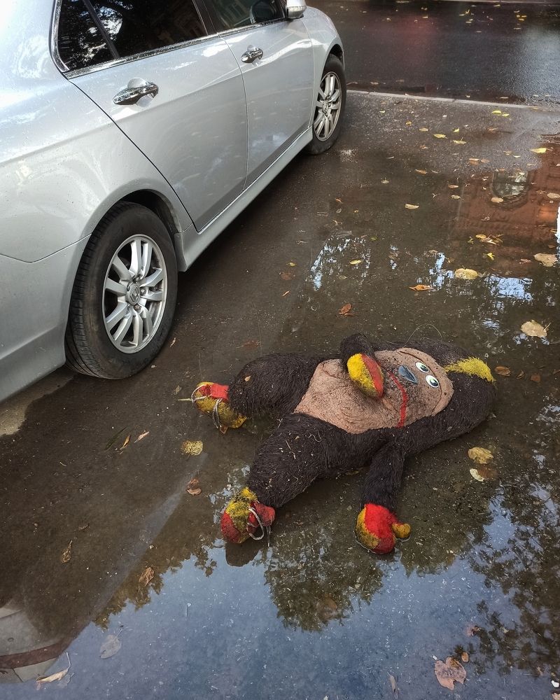 Photograph by Elena Bogomolova