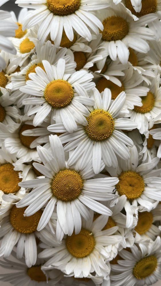 Photograph by Ирина Панько