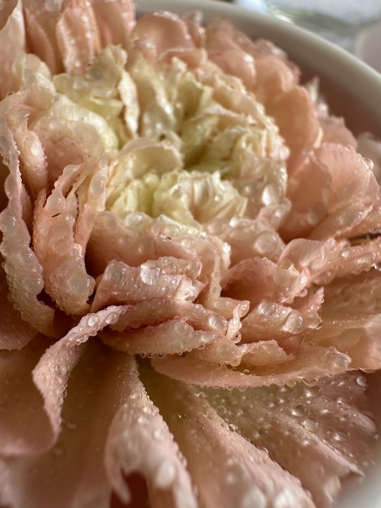 Photograph by Дина Чехова