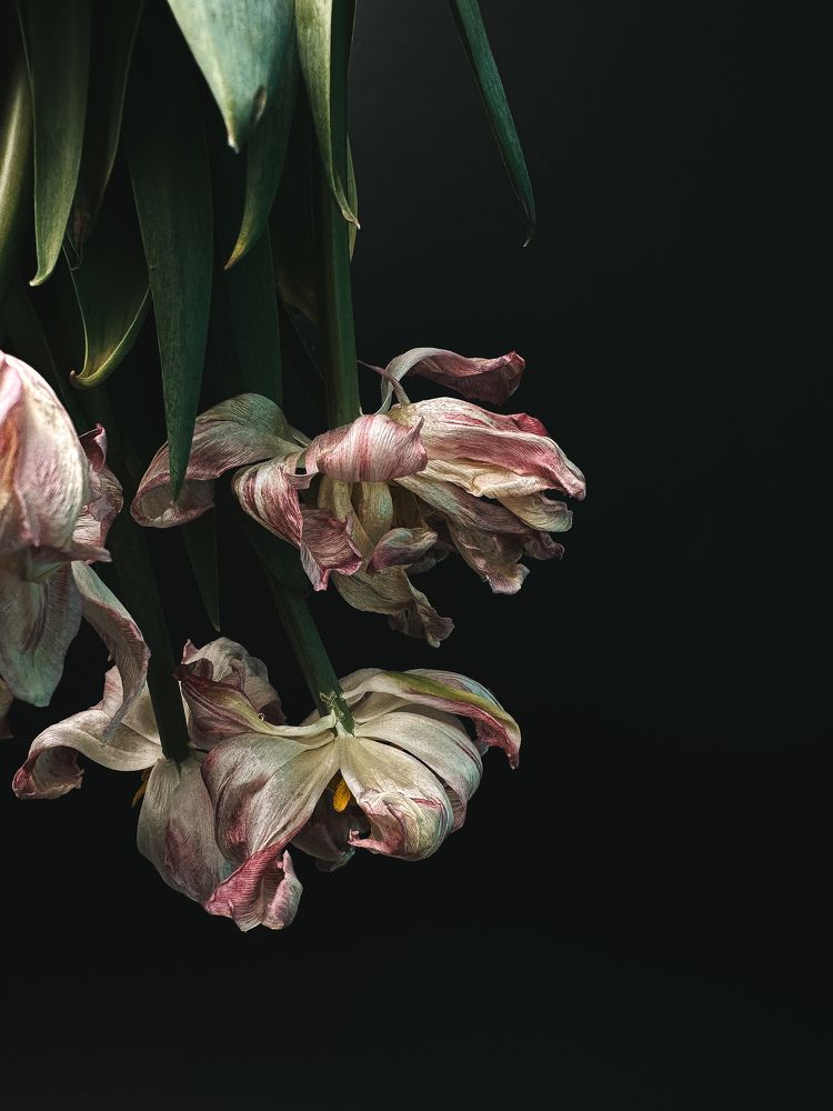 Photograph by Дина Чехова