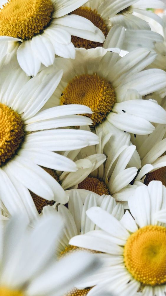 Photograph by Ирина Панько