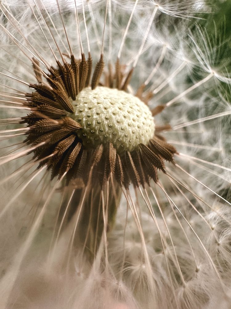 Photograph by Дина Чехова