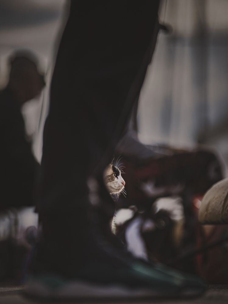 Photograph by Игорь Толкачев