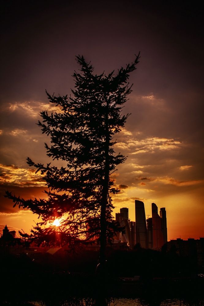 Photograph by Бойко Сергей