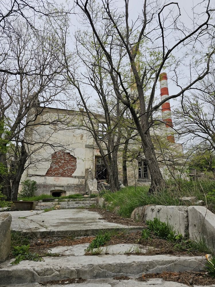 Photograph by Наталья Каплина