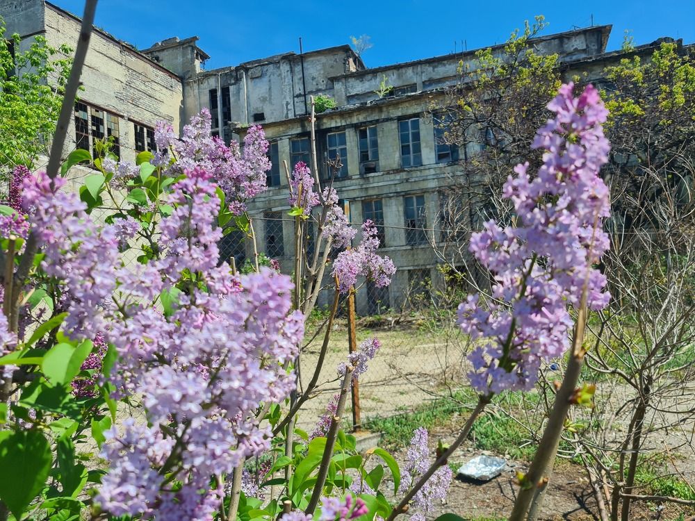 Photograph by Наталья Каплина