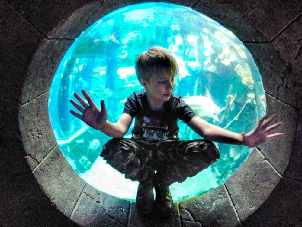 Photograph by Елена Румянцева