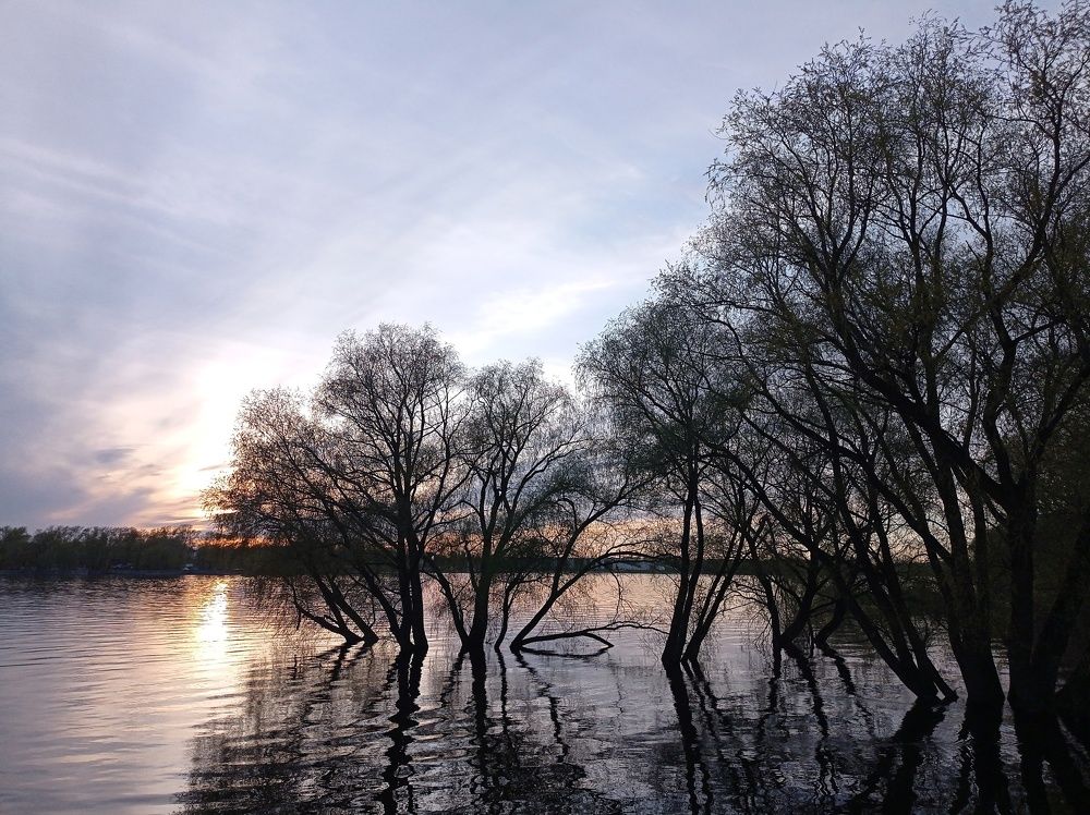 Photograph by Елена Федорова