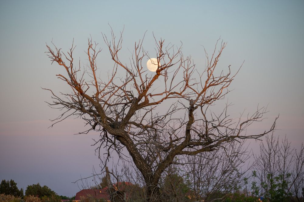 Photograph by Вадим Ашмаров