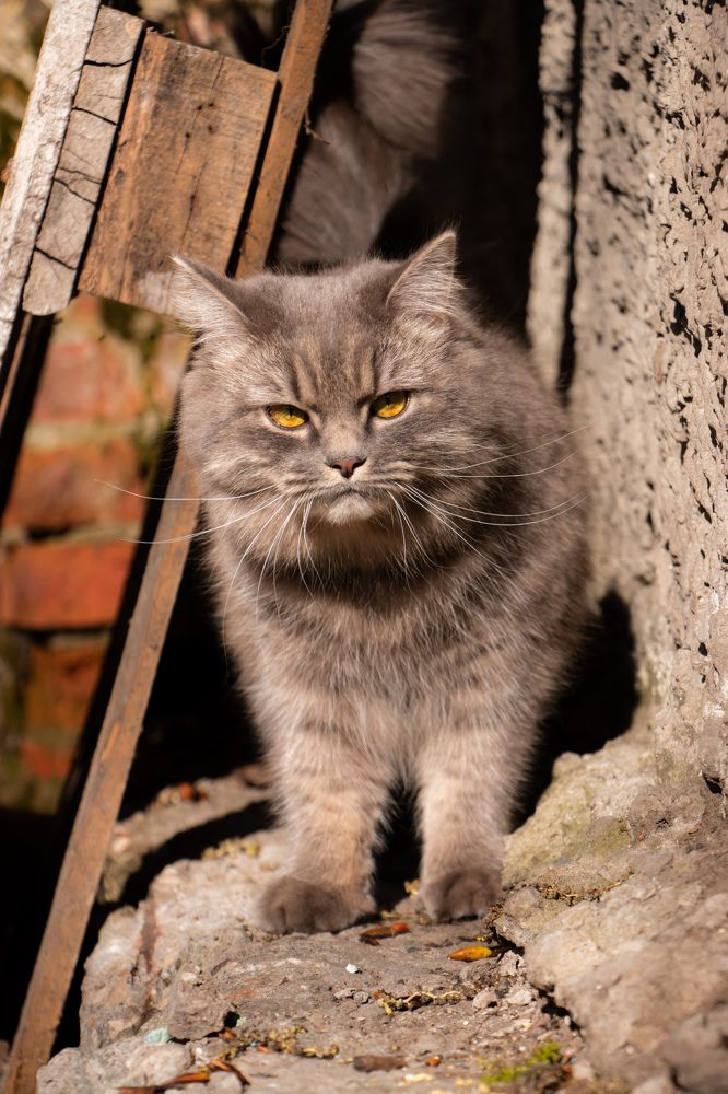 Photograph by Константин Семенюк