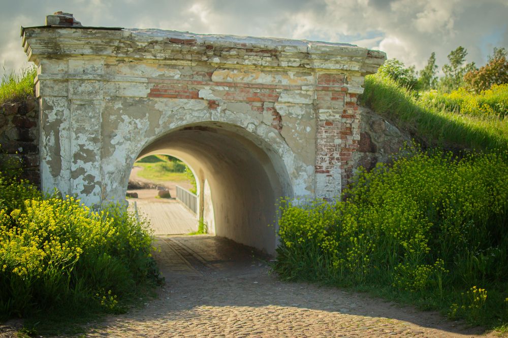 Photograph by Евгения Щеколдина