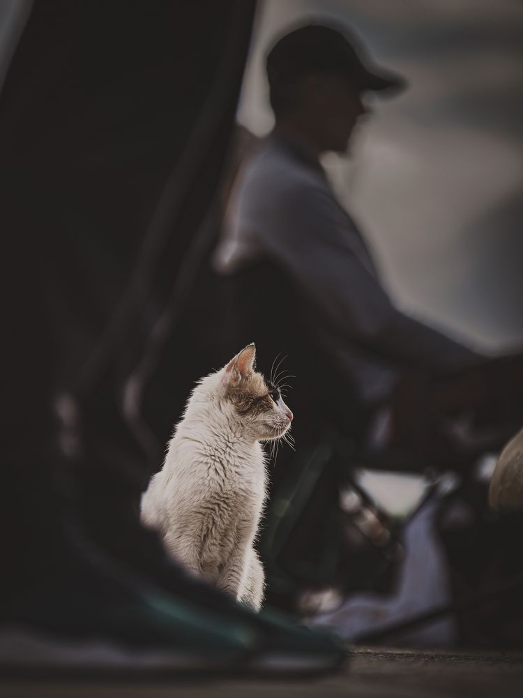 Photograph by Игорь Толкачев