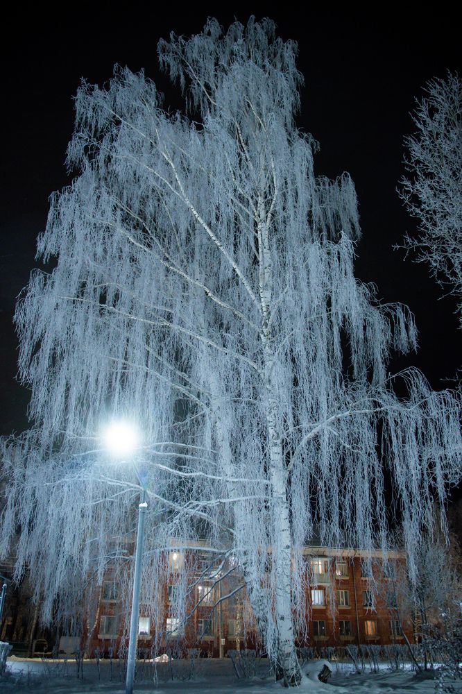 Photograph by Константин Семенюк