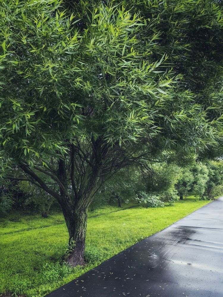 Photograph by Мария Прохорова